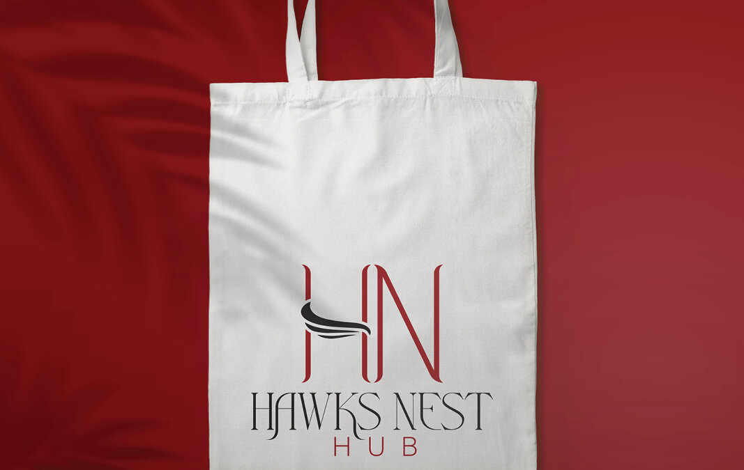Hawks Nest Hub